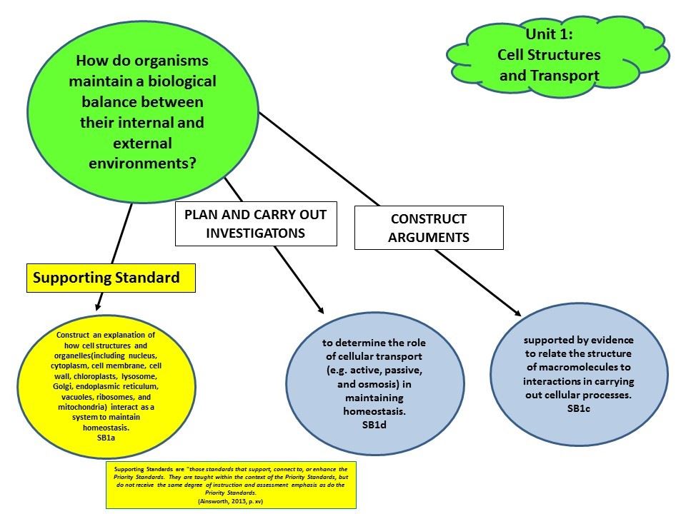 Unit 1 Concept Map Unit 1 Concept Map